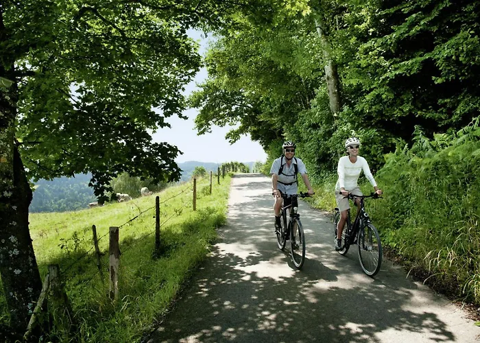 Natur-landhaus Krone Hotel 4*