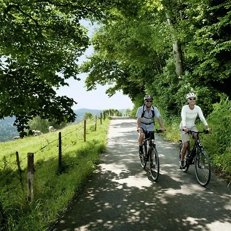 Kraftquelle Fanny Im Allgaeu Hotel 4*